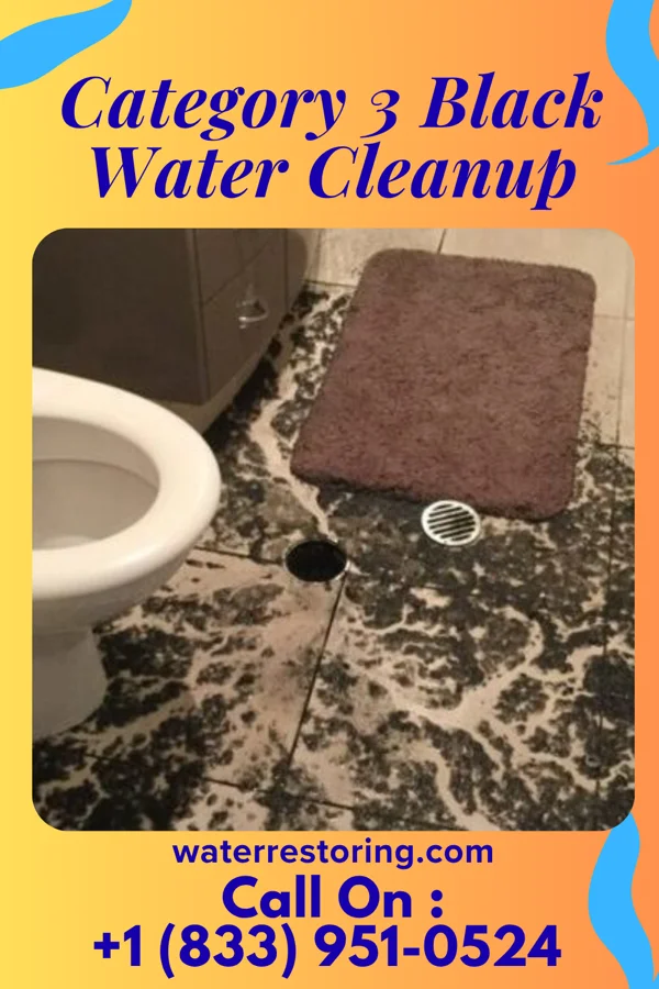 Category 3 Black Water Cleanup in Jasper, FL