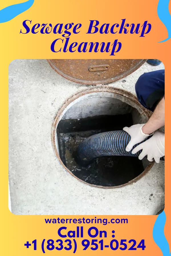 Sewage Backup Cleanup in Jasper, FL